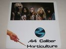GUNS N ROSES - 44 CALIBER HORTICULTURE - 2 LP LIVE AT CBGB PRACTICE TAPES LISTEN
