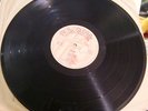 Original Spunk by The Sex Pistols VERY RARE LP BLANK RECORDS (1977) BLA 169