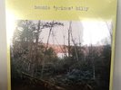 Bonnie Prince Billy S/T Vinyl LP 2013 Will Oldham Palace Music Brothers