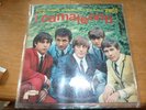 THE BEST RECORDS IN THE WORLD BY I CAMALEONTI