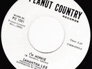 Rare 45 SAMANTHA LEE on PEANUT COUNTRY R'n'B SOUL POPCORN