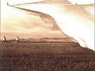 Neil Young, Prairie Wind. 200 Gram Sealed Vinyl 2LP Set  