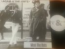 ADAM & THE ANTZ - Meet The Ants - Demos & Unreleased Recordings - RARE PUNK LP