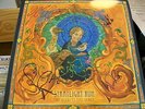 Straylight Run Needles The Space LP Signed by all members NM vinyl OOP