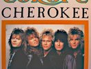 ++EUROPE cherokee/danger on the track/stormwind MAXI 1986 EPIC EX++