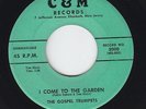 Black Gospel 45 - Gospel Trumpets - I Come To The Garden - C&M - mp3