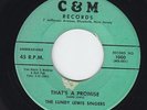 Black Gospel 45 - Lundy Lewis Singers - That's A Promise - C&M - mp3