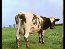 Pink Floyd: Atom Heart Mother - UK LP  SHVL 781
