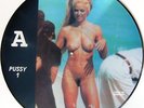 Madonna - Erotica Interview 92 Picture disc