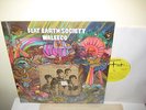 Flat Earth Society. Waleeco. ORIGINAL Fleetwood.  PSYCH. MINT ACID A.