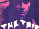 Garage Punk Psych Pic Sleeve 45 Kim Fowley The Trip / Beautiful 70s U.K. Island