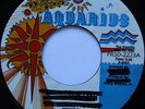 Rare Sweet Soul 45 - Soul In-Pressions ''Girl, Don't Worry'' AQUARIUS mp3 Killer