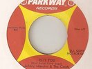 JOHNNY MAESTRO - IS IT YOU / MY TIME - PARKWAY PROMO  NORTHERN SOUL 45