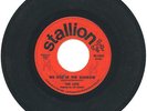 RARE Great Doo-Wop Girl Group 1963 STALLION 45 #1002 'We Kiss In The Shadows'