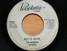 The Incredible Invaders Prophonics Fenton Lyn And Garage Girl Boy is Gone LISTEN