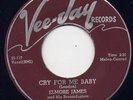 ELMORE JAMES - 