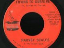Soul Funk 45   Harvey Scales   Trying To Survive   Magic Touch   rare mp3