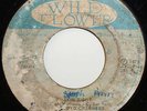 LLOYD CHARMERS Skin Tight 1975 Funky Reggae 45 WILD FLOWER  *LISTEN
