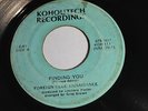 RARE OHIO SOUL FUNK 45/ FOREIGN BLUE RENAISANCE 