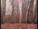TWINK-THINK PINK LP (MICK FARREN, DEVIANTS) ORIGINAL US PRESSING SIRE LABEL