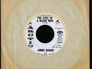 Soul 45   Jimmy Bishop   The Eyes Of A Black Man   Arctic   mp3 VG++