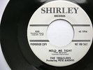 RARE PHIL SPECTOR 45 - THE TREASURES - HOLD ME TIGHT - THE BEATLES