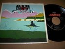 BIG COUNTRY - WONDERLAND 7