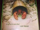 LARRY JOHNSON // Presenting The Country Blues // BLUE HORIZON MONO 7-63851 (UK)