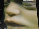 RAMMSTEIN “Mutter” Rare German Original   Motor Music w/Booklet M-