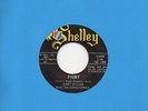 BABY STICKS & THE KINGTONES pigmy SHELLEY garage r&b tittyshaker 45 *Listen*