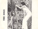 THE DOGS - IOWA PUNK 45 - 