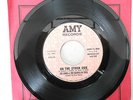 SOUL GROUP 45 RPM - LEE JONES & THE SOUNDS OF SOUL-ON THE OTHER SIDE-AMY