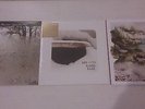 Bon Iver Vinyl Set - For Emma, Forever Ago - Blood Bank - Bon Iver  Brand New