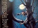 IRON MAIDEN FEAR OF THE DARK DOUBLE RECORD