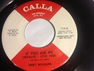 NM NORTHERN SOUL 45/ JERRY WILLIAMS 