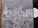 peter green - in the ruins / live heidelberg 1985 - LP ltd numbered edit of 200