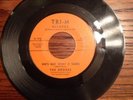 Grodes  45 RPM Cry a Little Longer / She's Got What it Takes (60's Garage Band)