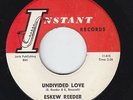 Northern Soul/R&B 45 - Eskew Reeder - Undivided Love - Instant - mp3