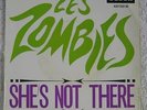 The Zombies - She's Not There -  French Picture Sleeve PS 7
