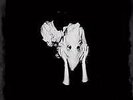 Sigur Ros 