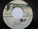 Anthony Ellis-I Am the Ruler Studio One Jamaican Press 45 7