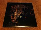 Wolves in the Throne Room Two Hunters 2xlp gold vinyl