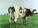 Pink Floyd - Atom Heart Mother - LP - french 1st press - washed - cleaned  L4386