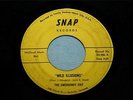 THE EMERGENCY EXIT Wild Illusions 45 SNAP  GARAGE PSYCH ROCK Hear It