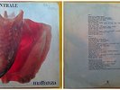 LP - NAPOLI CENTRALE - MATTANZA - 1976 - PROG ROCK POP