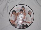The Beatles Picture Disc Butcher Cover  7