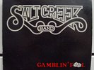 SALT CREEK BAND gamblin fool LP VG+ 8104 02 Vinyl 1982 Record