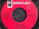 THE PILGRIMAGE- Bad Apple/You Satisfy Me KILLER GARAGE PUNK 2-SIDER- CLEAN BFTG