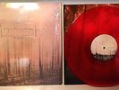 If These Trees Could Talk Red Forest 12
