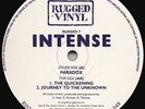 Intense - Paradox - 1993 Jungle Rugged Vinyl - Rare Original 12